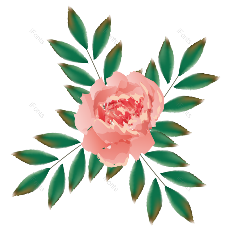 叶子图片,绿叶元素,花草PNG,树叶免抠素材